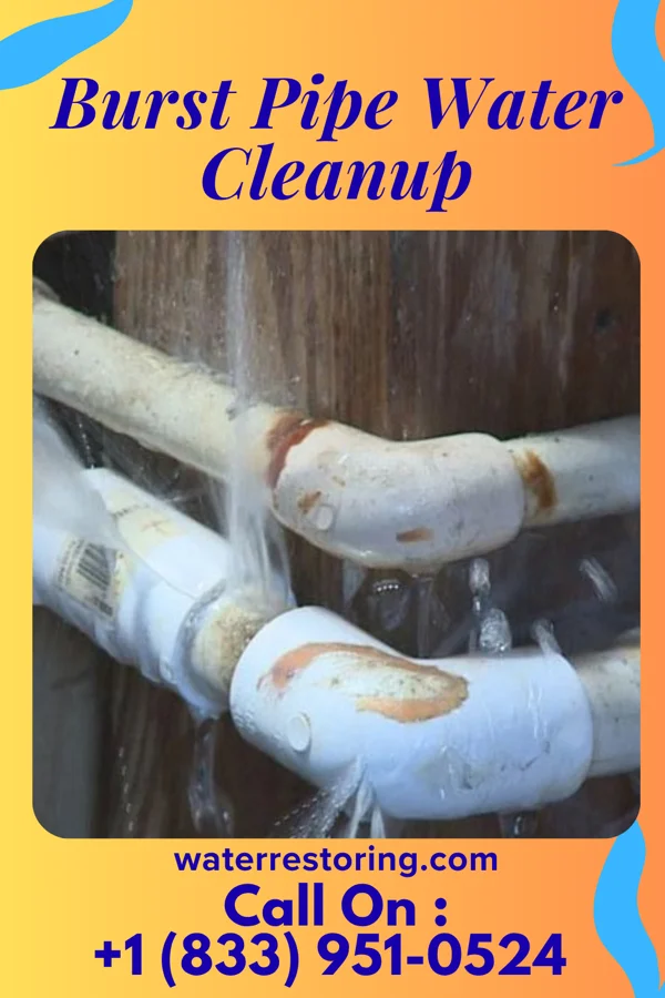 Burst Pipe Water Cleanup in Labette, KS