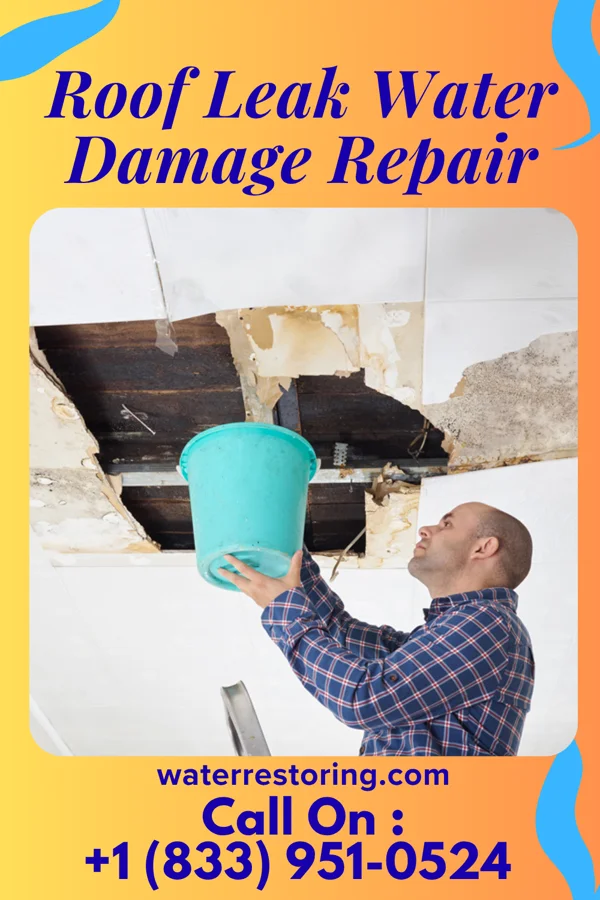 Roof Leak Water Damage Repair in Labette, KS