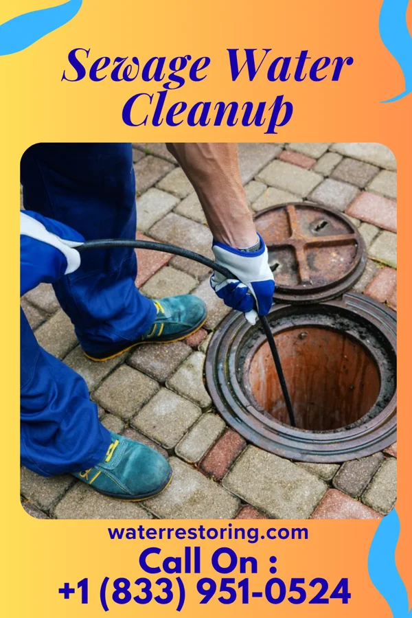 Sewage Water Cleanup in Labette, KS